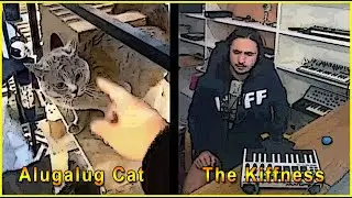 Alugalug Cat