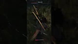 Rise of Ronin : Gameplay