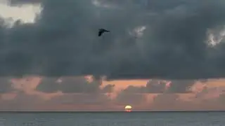 Soñando que amanece