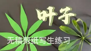 无稿剪纸写生练习～叶子