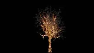 tree burning fire