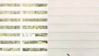 Korend's Combi Blinds And Roll Up