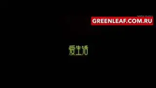 Greenleaf . Бамбуковые тапочки гринлиф