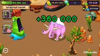 TUSKSKI ON AMBER ISLAND !