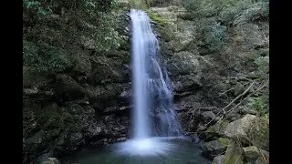 牛滝山・「一の滝」