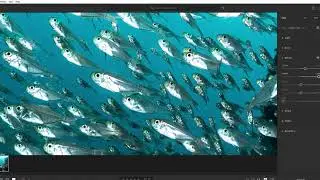 Post-Processing for Beginners: Working with RAW Files (2/6)