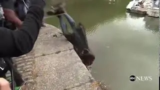 hey