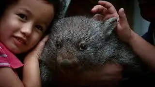 Oakvale Wildlife Park - Summer 30sec TVC