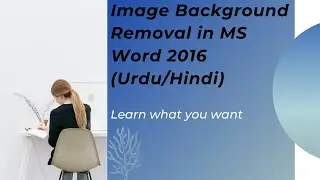 How to remove background of image in Ms Word 2016