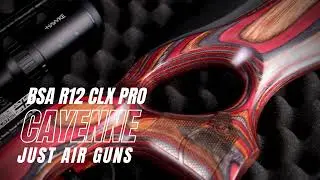 BSA R12 CLX PRO Cayenne Air Rifle