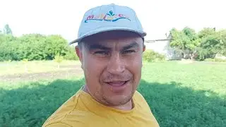 Наконец-то дождь. Нас стало больше.