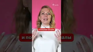 КОШКИ всегда ПРИЗЕМЛЯЮТСЯ #shorts #tutoronline #рекомендации #факты