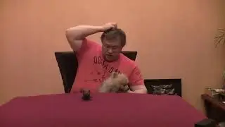 Самозанятые: преступление Симона Кордонского