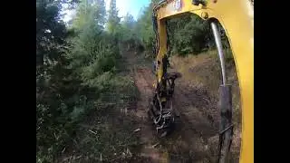 Arpad Cleaning up and Masticating in the woods