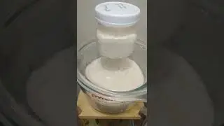 Sourdough Rise Time Lapse