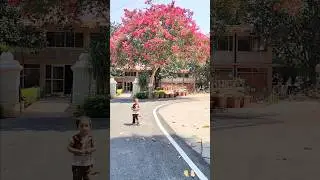 kyo kisi ko #terenaam #salmankhan #trending #love #shorts #viralvideos