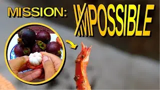 Germinate Mangosteen Seeds In Cold Climates