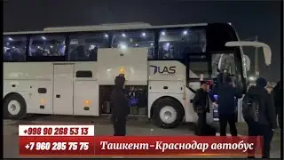 Краснодар Ташкент автобус,+79650496969 Krasnodar Toshkent avtobus
