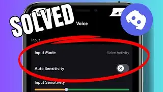 How to Disable Auto Sensitivity in Discord