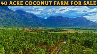 🌴அனைத்து வசதிகளுடன் 40 ஏக்கர் விற்பனைக்கு🌳40 ACRE FOR SALE