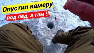 Зимняя рыбалка в Донбассе !!!  Георгиевка нас удивила !!!