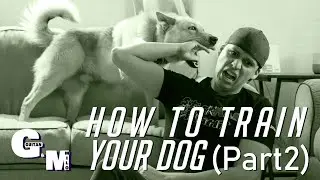 How to train your dog (part 2) | Close the door