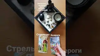 Гороскоп на следующую неделю для знаков зодиака. Таролог Елена Удре