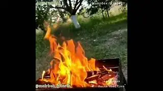 Майрбек гитарист Творческая 