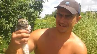 В этом году совы.