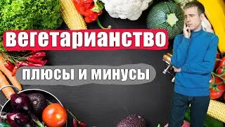 Вегетарианство: плюсы, минусы, подводные камни. Всё что нужно знать о вегетарианстве (и веганстве)