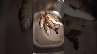 Улов