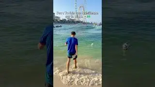 Ça finit toujours comme ça 😂⚽️