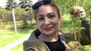 КРИВОЙ  РОГ 🇺🇦 БОТАНИЧЕСКИЙ  САД  ТЕРНОВСКОЙ  РАЙОН