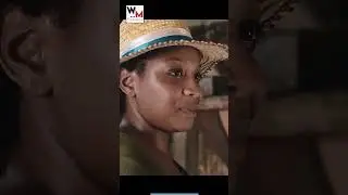 SISTA SOPHIE - NOU LAMOUR