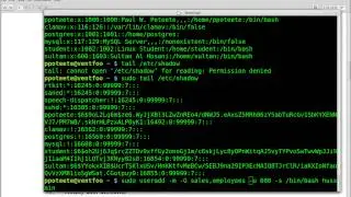 Tutorial: How to Perform User and Group Operations on Linux and UNIX