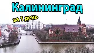 Калининград - куда пойти и что посмотреть за 1 день?