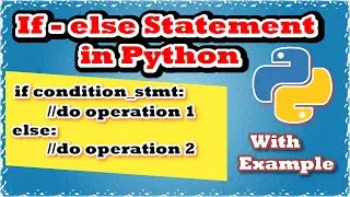 Python If Else Statement With Example 🔥🔥 | Code Myth