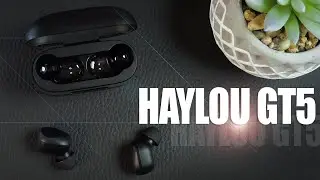 Review of HAYLOU GT5 headphones NEW from XIAOMI
