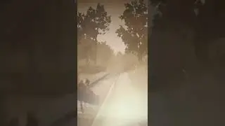 there lag switching wasn't enough, couldn't handle me , RED DEAD REDEMPTION 2 RDR2 ONLINE