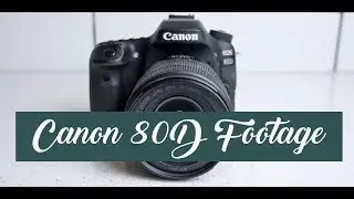 Canon 80D Test Video Test || 1080P 60Fps