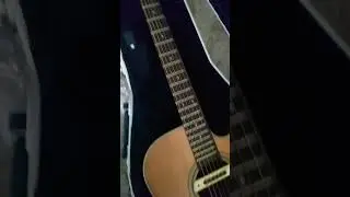 #takamineguitars g series #short