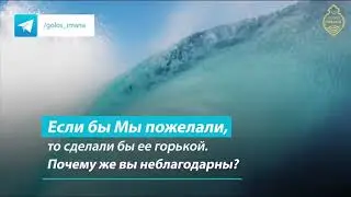 Прославляй же имя Великого Господа твоего! НОВИНКА 2020