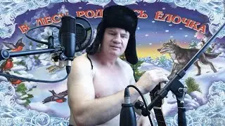 В лесу родилась ёлочка