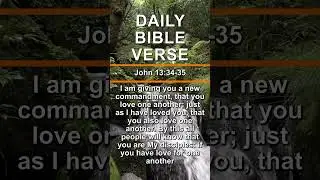 John 13:34-35 | Daily Bible Verse | #shorts