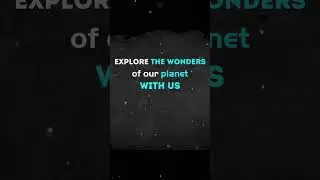 Text Animation 