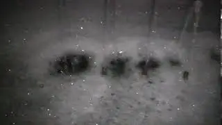 Фонтан и фейри