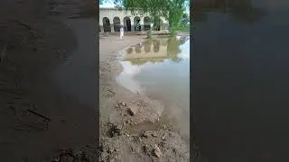Rain in Sindh Shikarpur 20.08.2024 #rain #sindh #live