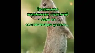 Найти свою формулу успеха в ставках на спорт...