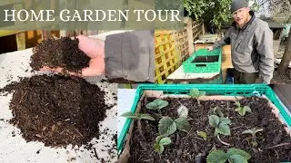 Home Made Compost Seed Trial! Planting Some Early Strawberries!