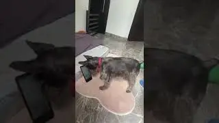 Не оставляйте свой телефон без присмотра...